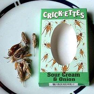 Click to get Crickettes Tasty Crunchy Crickets