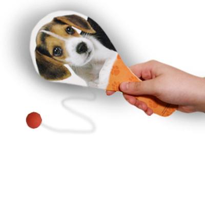 Click to get Puppy Paddles