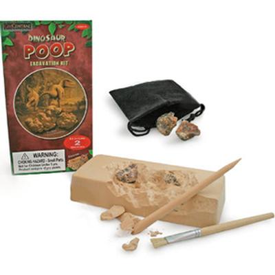Click to get Dinosaur Poop Discovery Kit